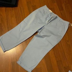 Crown and Ivy, light blue, 14w crop